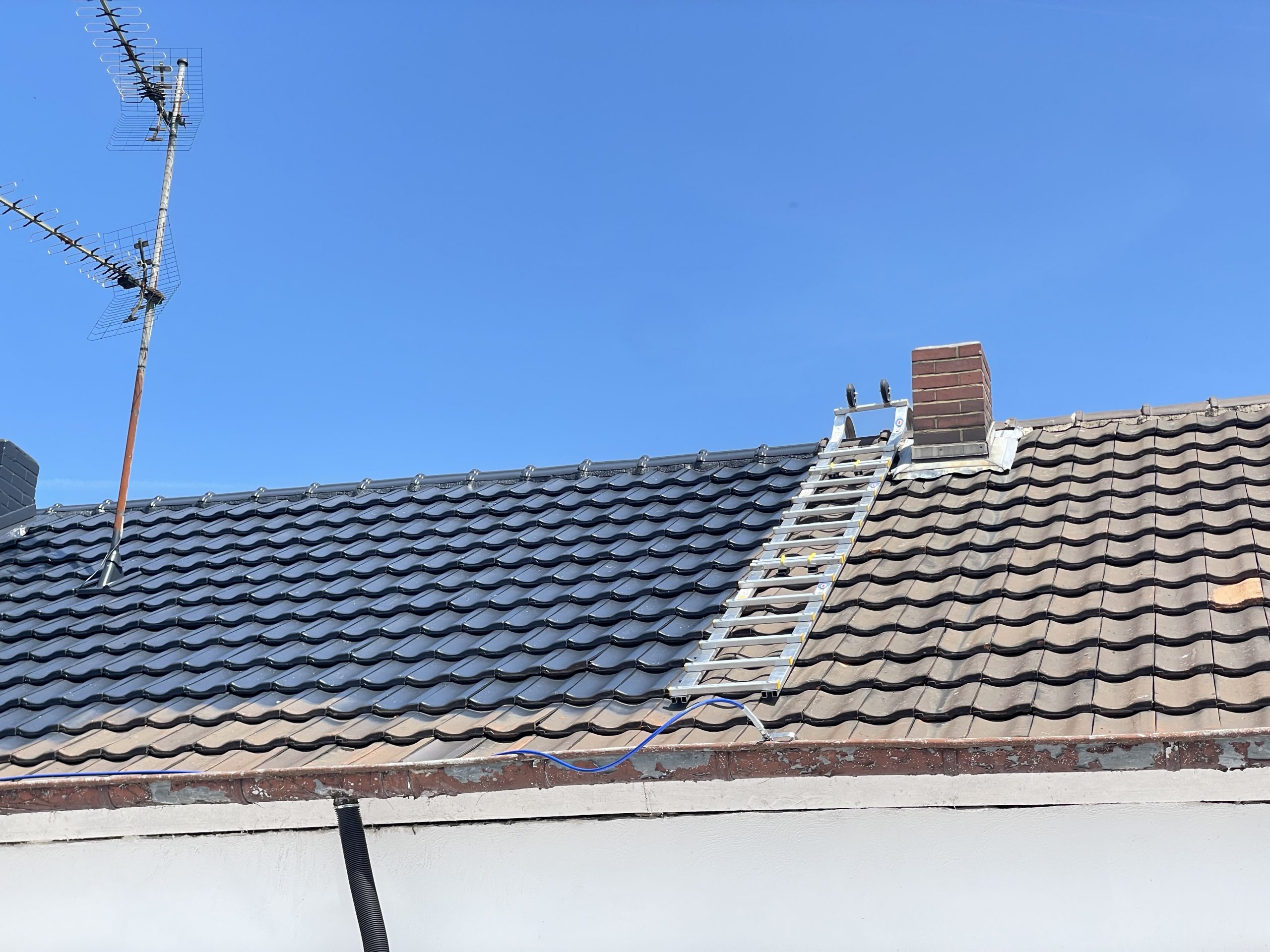 Dachreinigung und Dachbeschichtung Köln