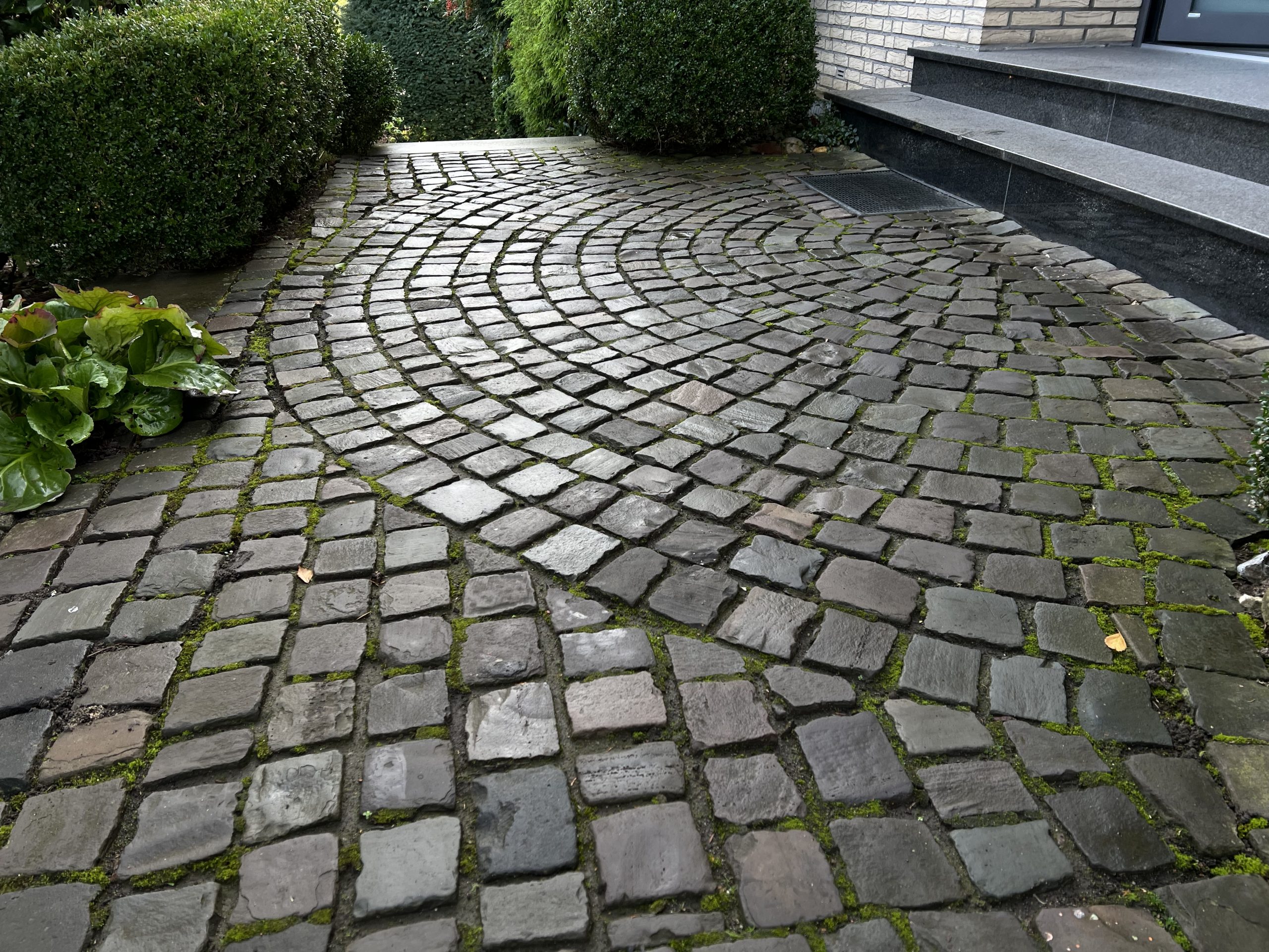 Steinreinigung Köln - Feste Fuge