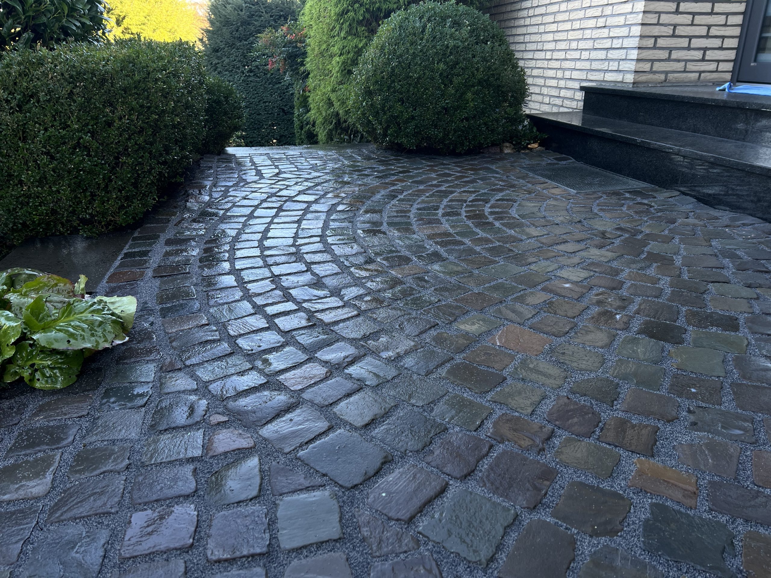 Steinreinigung Köln - Feste Fuge