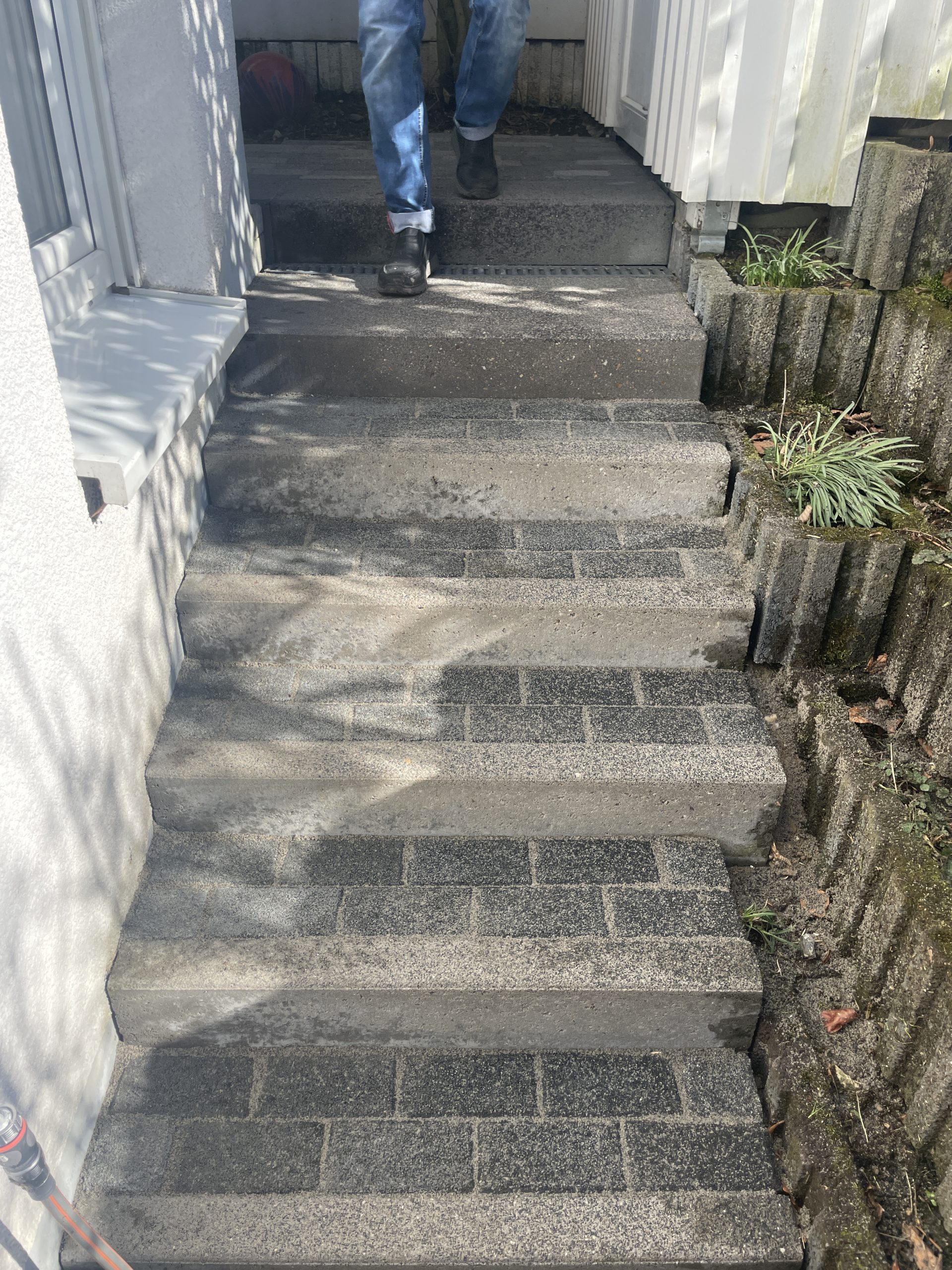 Steinreinigung Köln - Feste Fuge